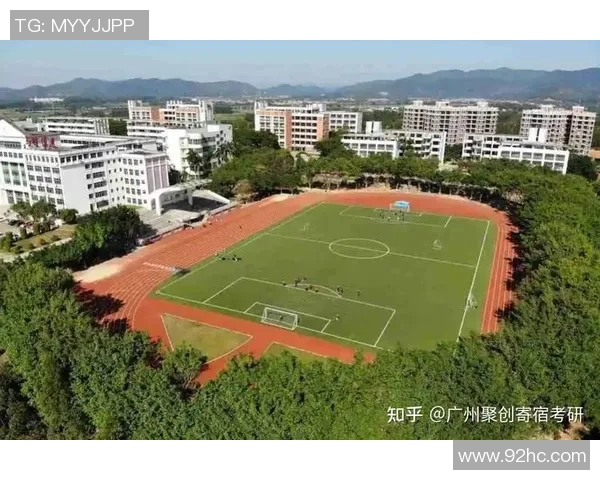 广州排球队运营策略深度分析与发展前景展望 广州排球队运营策略深度分析与发展前景展望