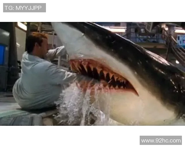 发电机与南部鲨鱼的较量谁能在力量与智慧中胜出